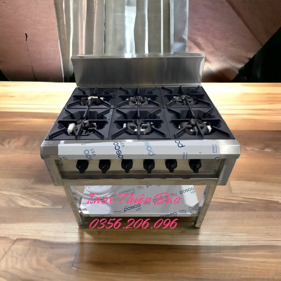 BẾP ÂU 6 HỌNG